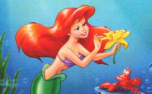 Joop van den Ende zoekt Ariel